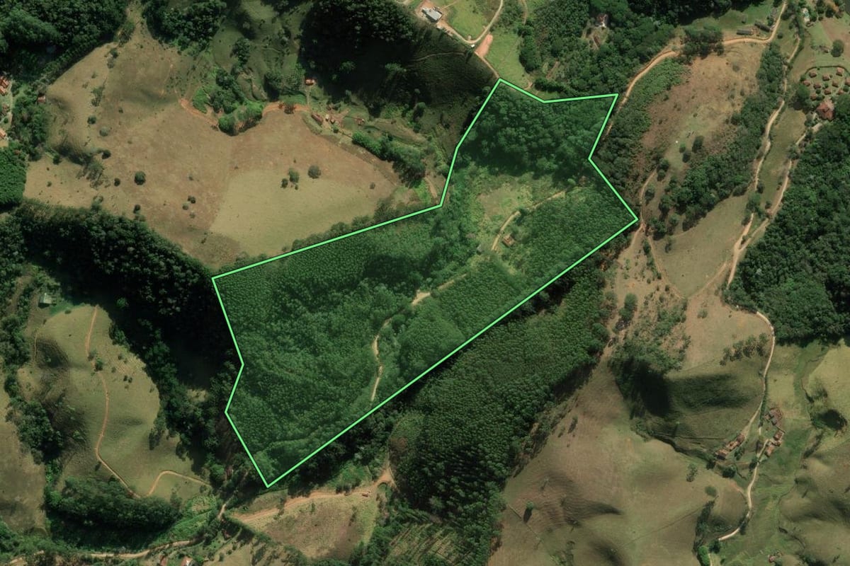Imagem de satélite do imóvel rural em Santo Antônio do Pinhal (SP), com o contorno declarado no CAR desenhado por cima.