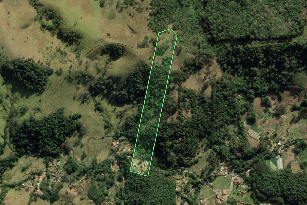Imagem de satélite do imóvel rural em Santo Antônio do Pinhal (SP), com o contorno declarado no CAR desenhado por cima.