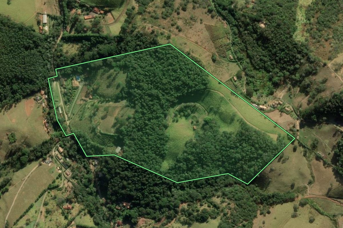 Imagem de satélite do imóvel rural em Santo Antônio do Pinhal (SP), com o contorno declarado no CAR desenhado por cima.