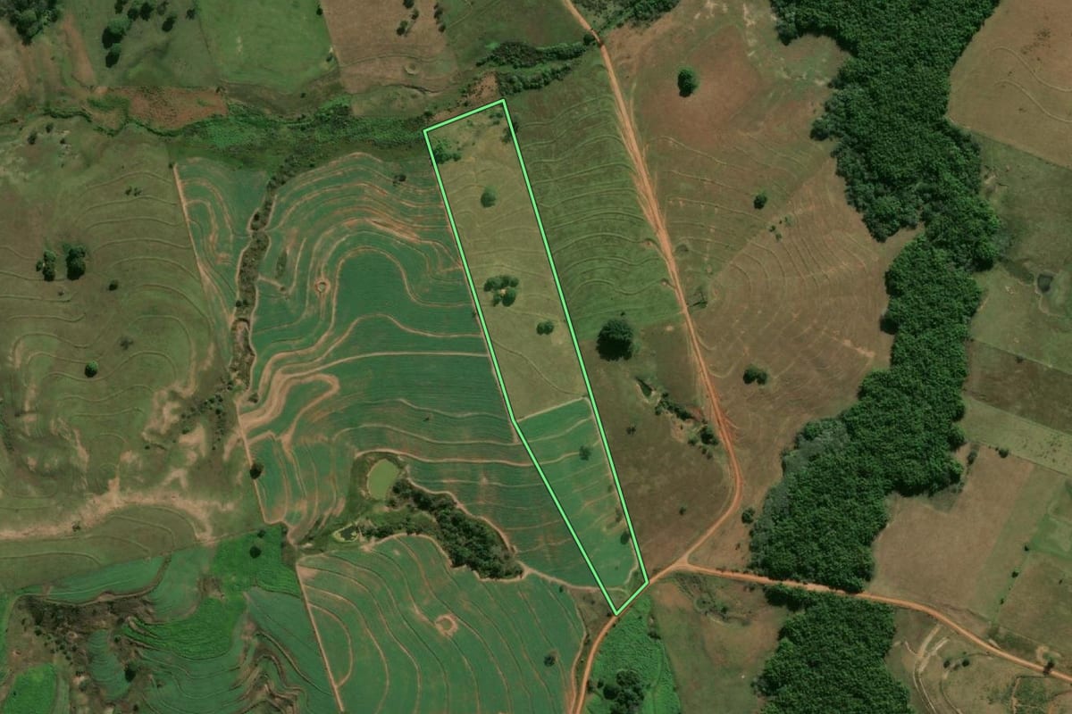 Imagem de satélite do imóvel rural em Santo Expedito (SP), com o contorno declarado no CAR desenhado por cima.