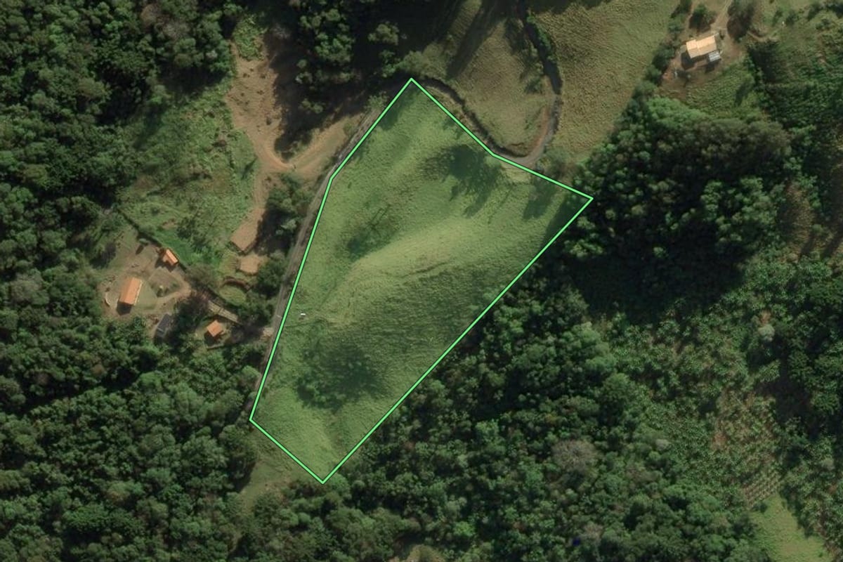 Imagem de satélite do imóvel rural em São Bento do Sapucaí (SP), com o contorno declarado no CAR desenhado por cima.