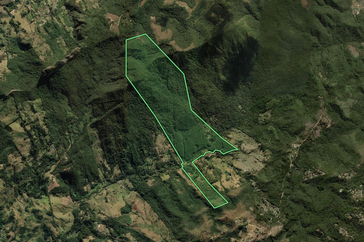 Imagem de satélite do imóvel rural em São Bento do Sapucaí (SP), com o contorno declarado no CAR desenhado por cima.