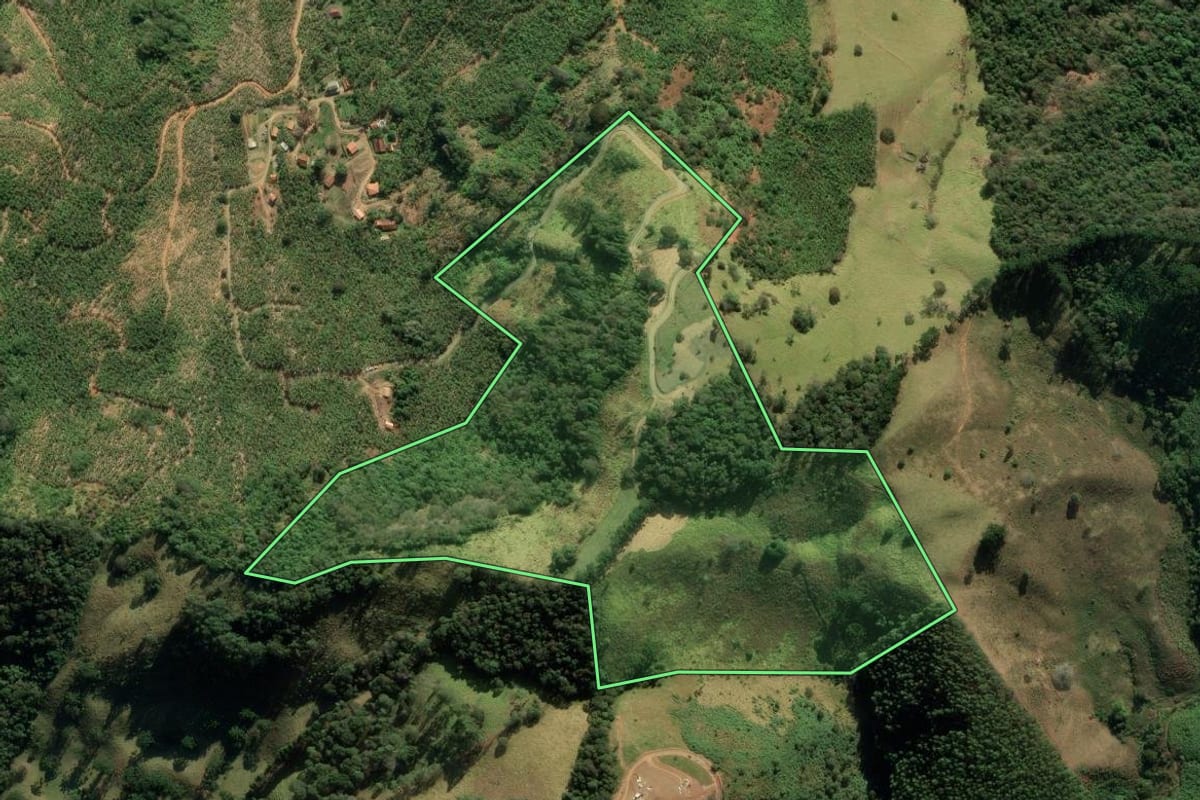 Imagem de satélite do imóvel rural em São Bento do Sapucaí (SP), com o contorno declarado no CAR desenhado por cima.