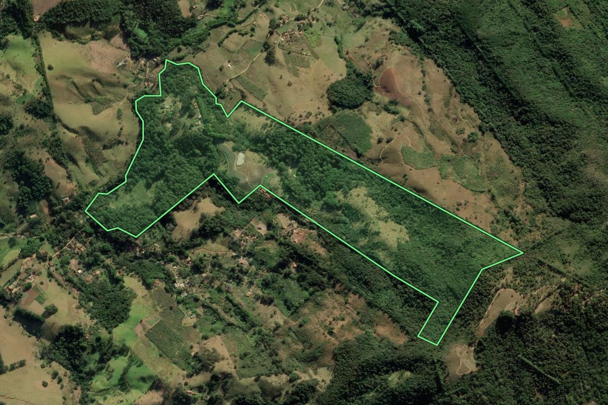 Imagem de satélite do imóvel rural em São Bento do Sapucaí (SP), com o contorno declarado no CAR desenhado por cima.
