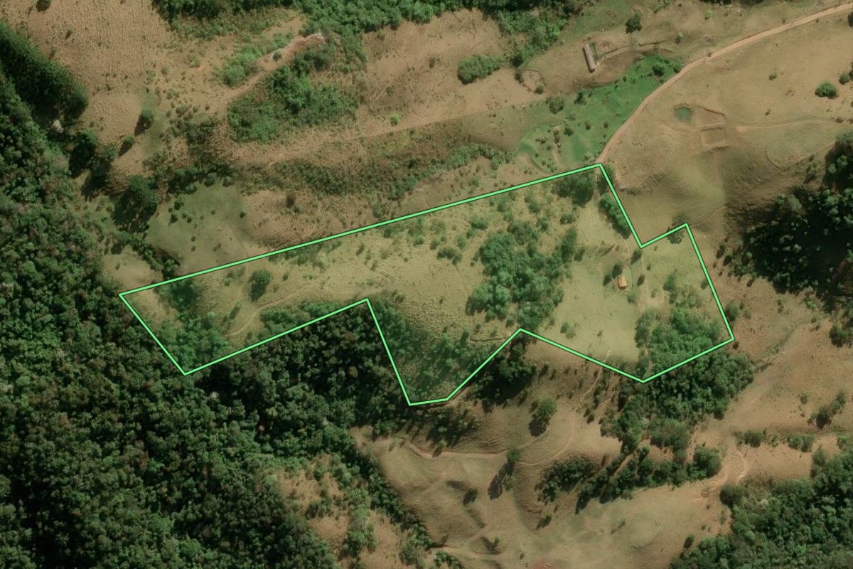 Imagem de satélite do imóvel rural em São Bento do Sapucaí (SP), com o contorno declarado no CAR desenhado por cima.