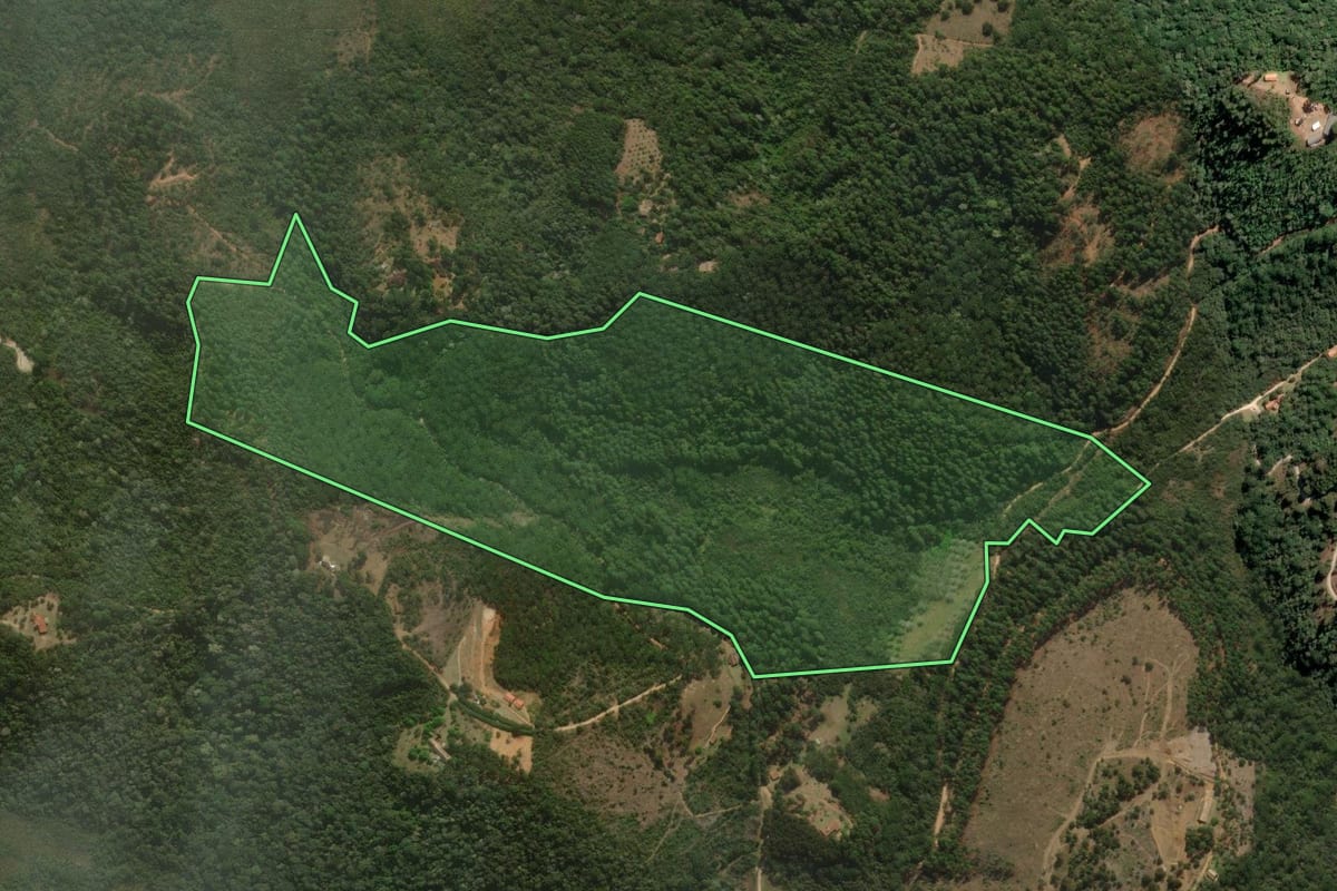 Imagem de satélite do imóvel rural em São Bento do Sapucaí (SP), com o contorno declarado no CAR desenhado por cima.