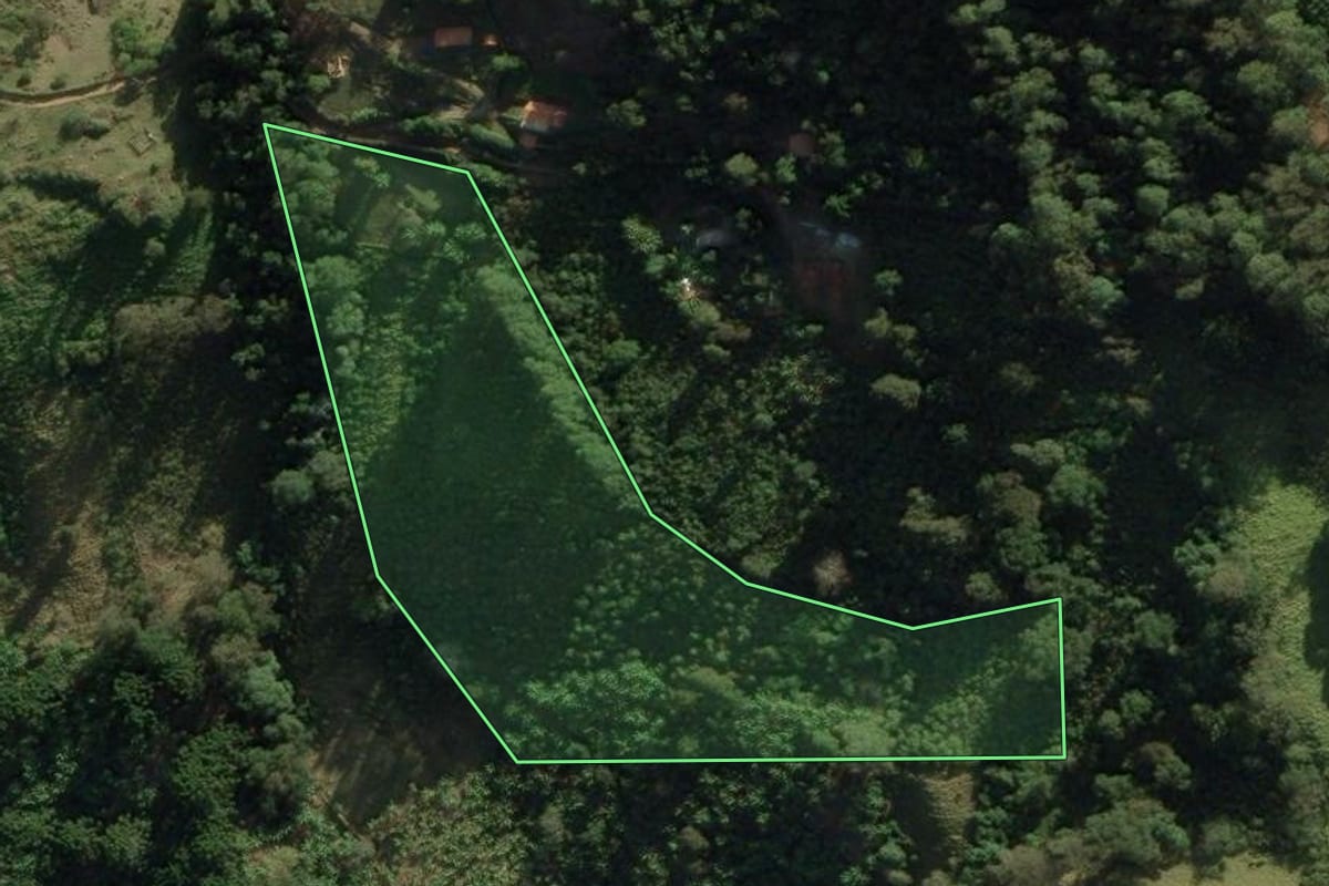 Imagem de satélite do imóvel rural em São Bento do Sapucaí (SP), com o contorno declarado no CAR desenhado por cima.