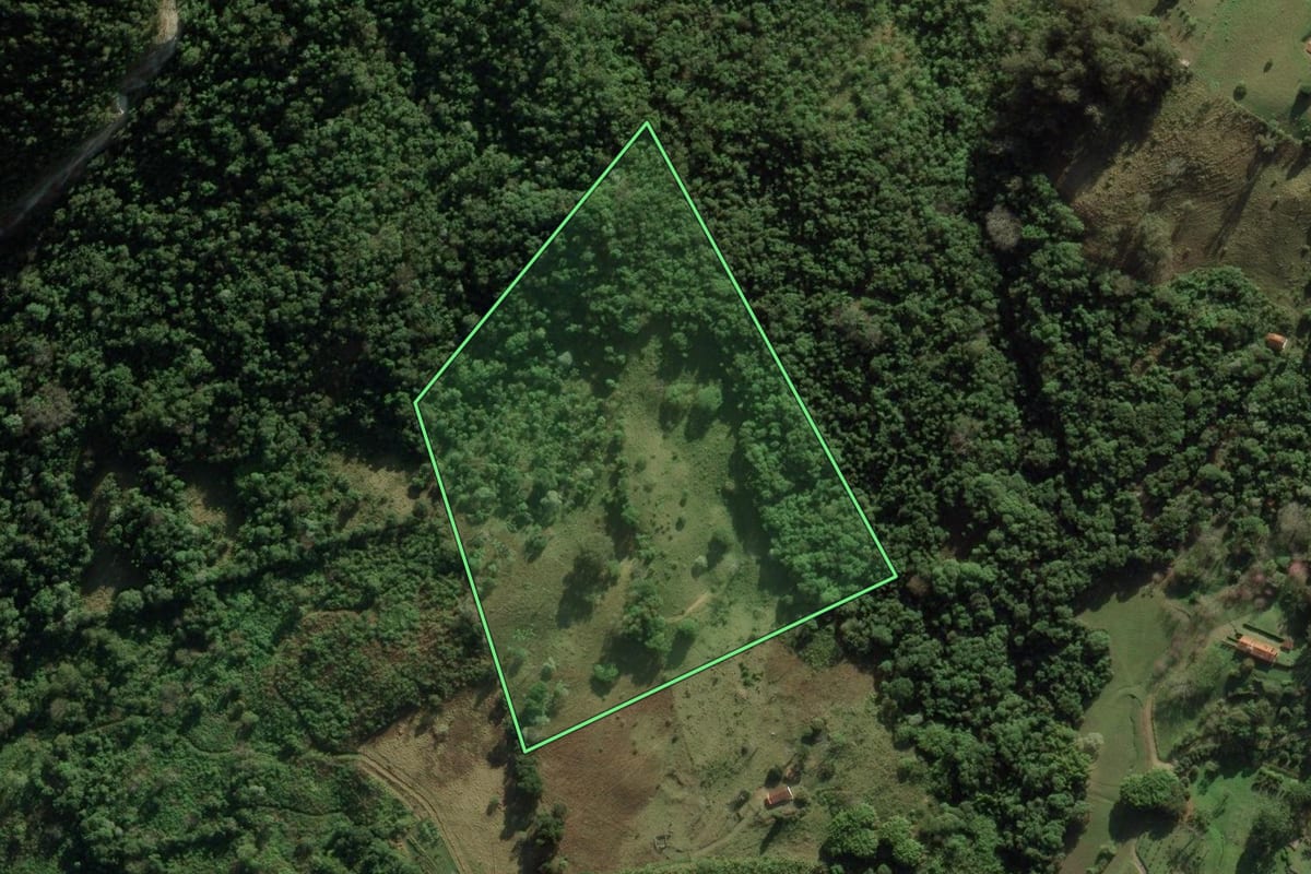 Imagem de satélite do imóvel rural em São Bento do Sapucaí (SP), com o contorno declarado no CAR desenhado por cima.
