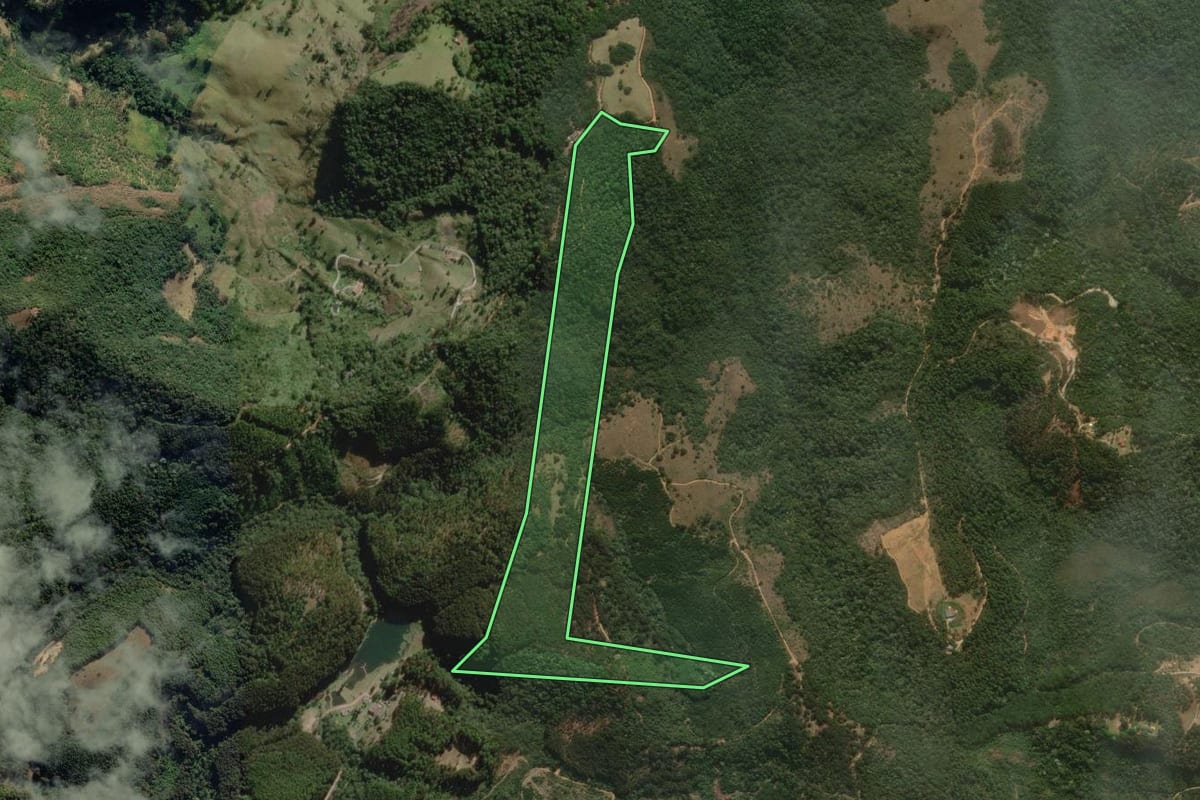 Imagem de satélite do imóvel rural em São Bento do Sapucaí (SP), com o contorno declarado no CAR desenhado por cima.