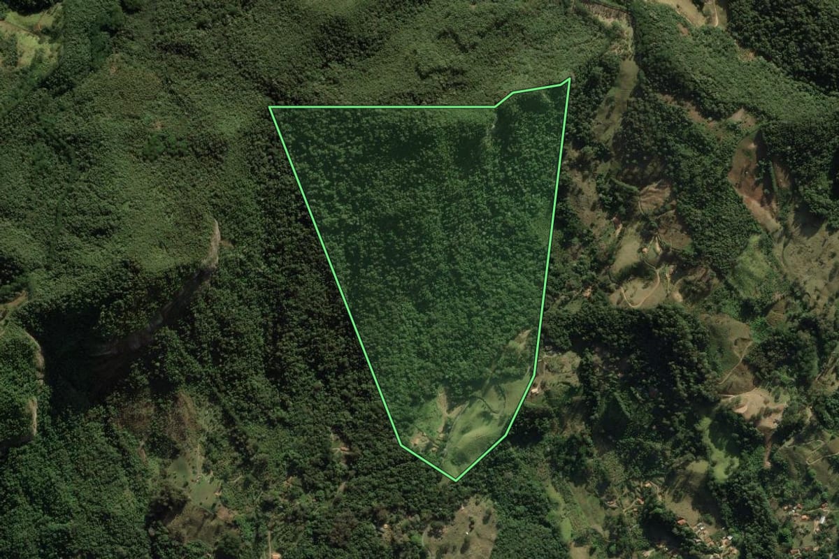 Imagem de satélite do imóvel rural em São Bento do Sapucaí (SP), com o contorno declarado no CAR desenhado por cima.