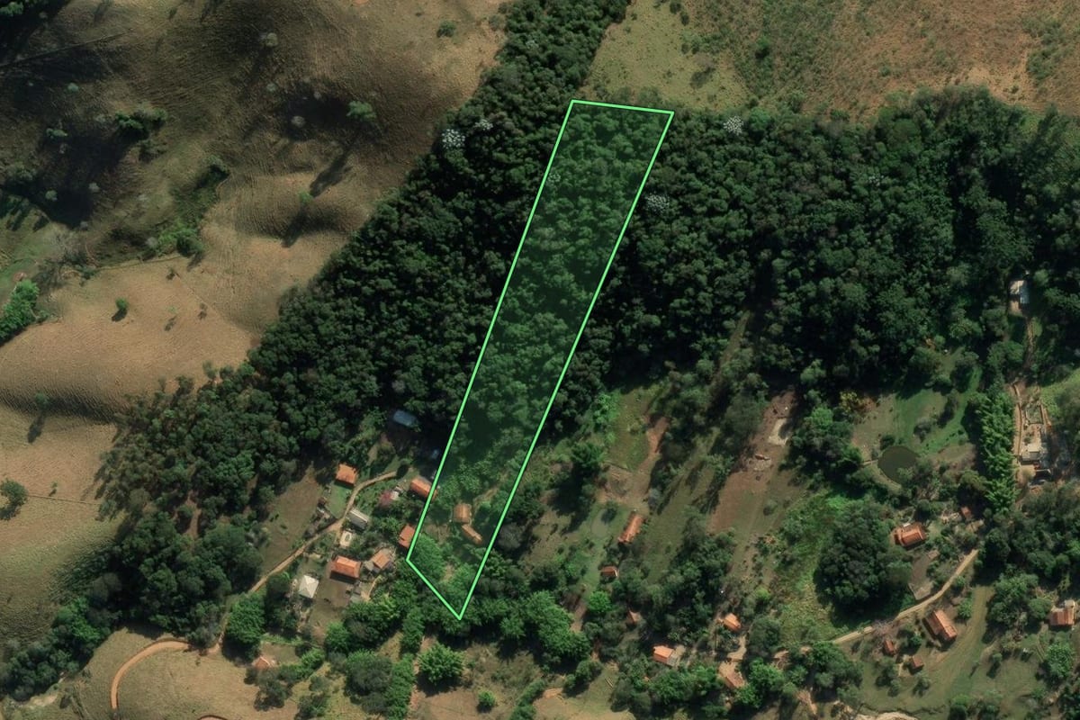 Imagem de satélite do imóvel rural em São Bento do Sapucaí (SP), com o contorno declarado no CAR desenhado por cima.