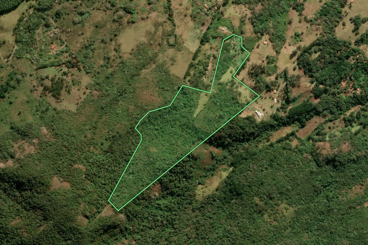 Imagem de satélite do imóvel rural em São Bento do Sapucaí (SP), com o contorno declarado no CAR desenhado por cima.