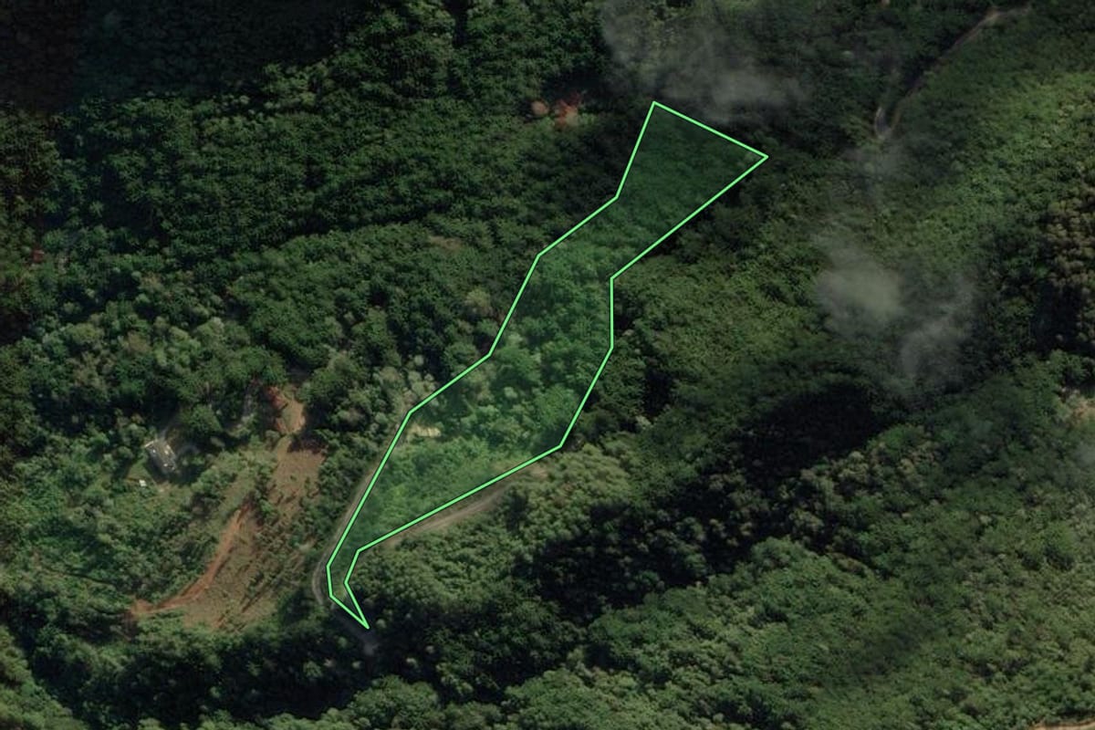 Imagem de satélite do imóvel rural em São Bento do Sapucaí (SP), com o contorno declarado no CAR desenhado por cima.
