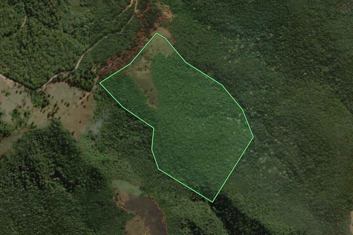 Imagem de satélite do imóvel rural em São Bento do Sapucaí (SP), com o contorno declarado no CAR desenhado por cima.