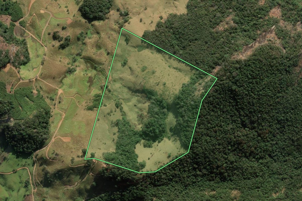Imagem de satélite do imóvel rural em São Bento do Sapucaí (SP), com o contorno declarado no CAR desenhado por cima.