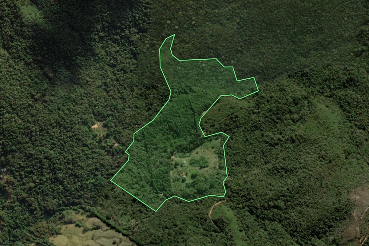 Imagem de satélite do imóvel rural em São Bento do Sapucaí (SP), com o contorno declarado no CAR desenhado por cima.