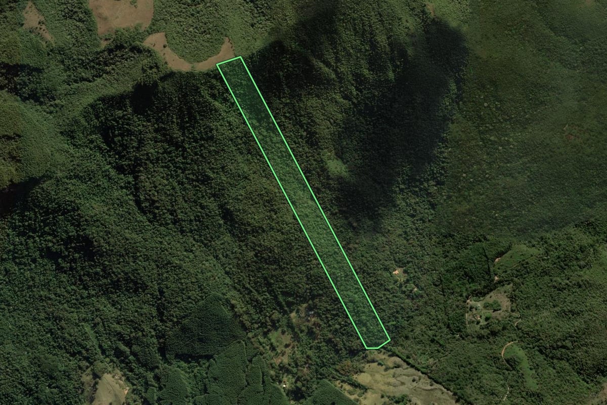 Imagem de satélite do imóvel rural em São Bento do Sapucaí (SP), com o contorno declarado no CAR desenhado por cima.