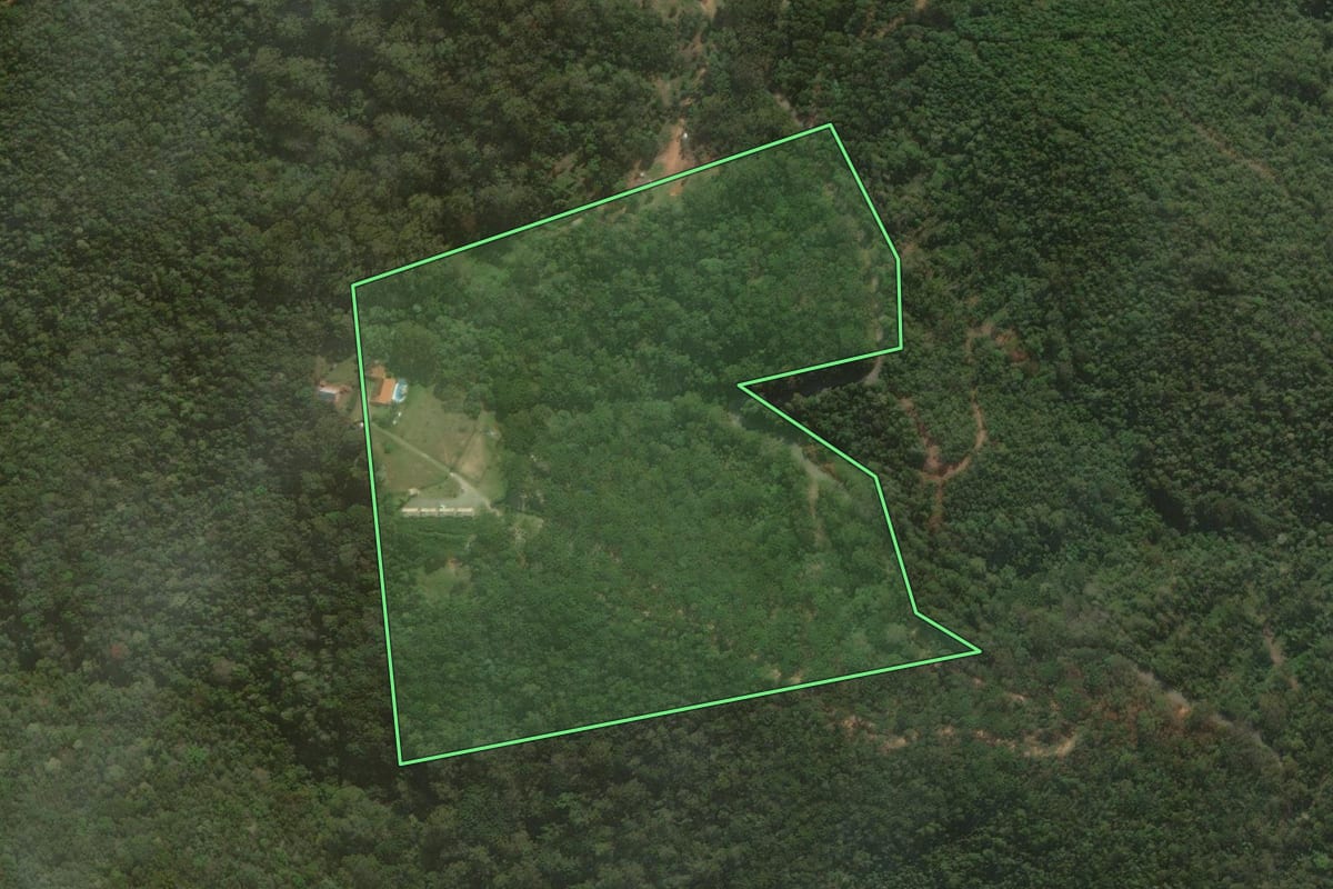 Imagem de satélite do imóvel rural em São Bento do Sapucaí (SP), com o contorno declarado no CAR desenhado por cima.