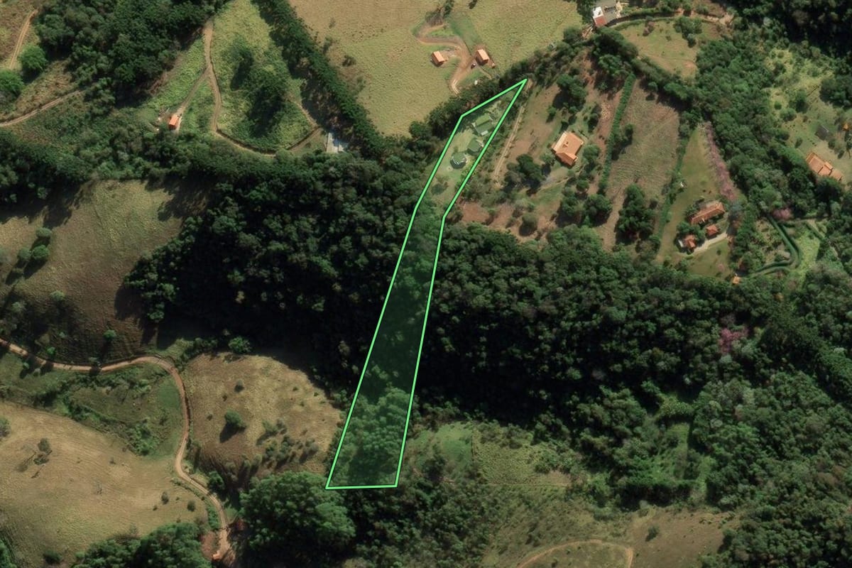 Imagem de satélite do imóvel rural em São Bento do Sapucaí (SP), com o contorno declarado no CAR desenhado por cima.