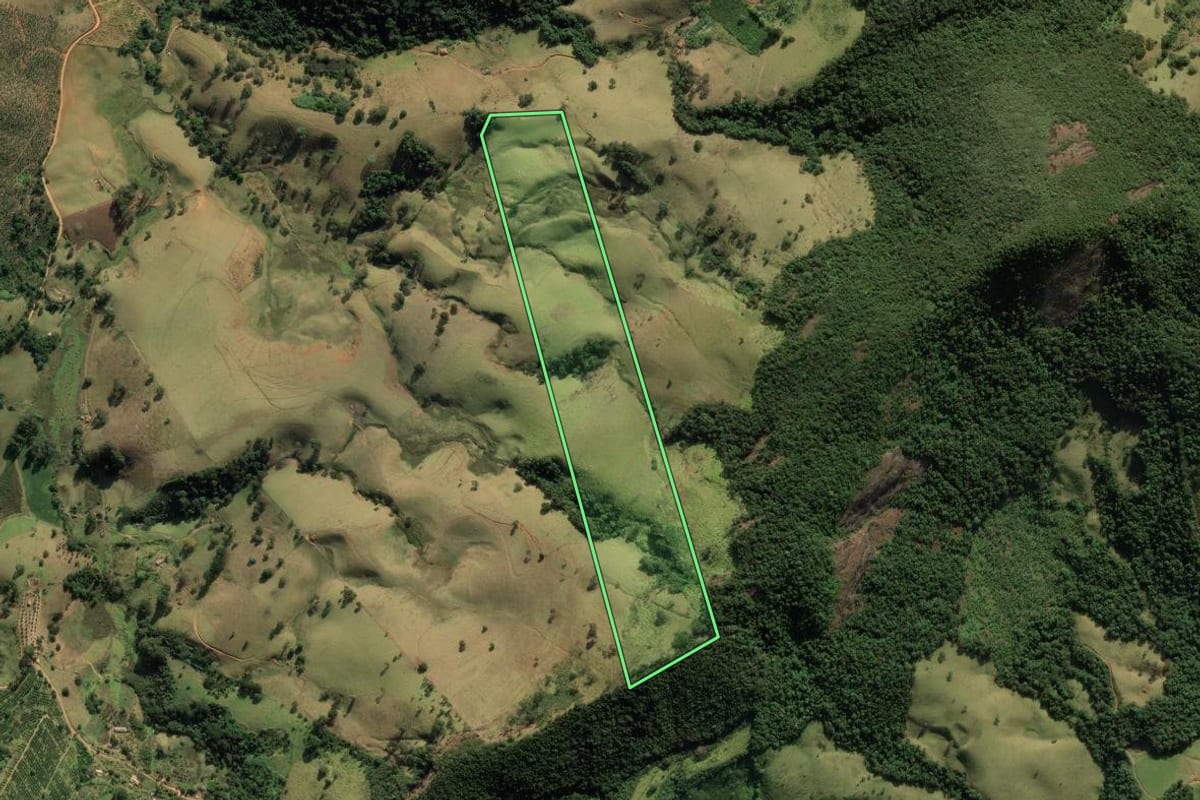 Imagem de satélite do imóvel rural em São Bento do Sapucaí (SP), com o contorno declarado no CAR desenhado por cima.