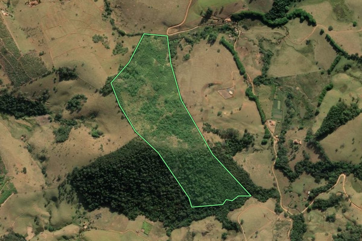 Imagem de satélite do imóvel rural em São Bento do Sapucaí (SP), com o contorno declarado no CAR desenhado por cima.