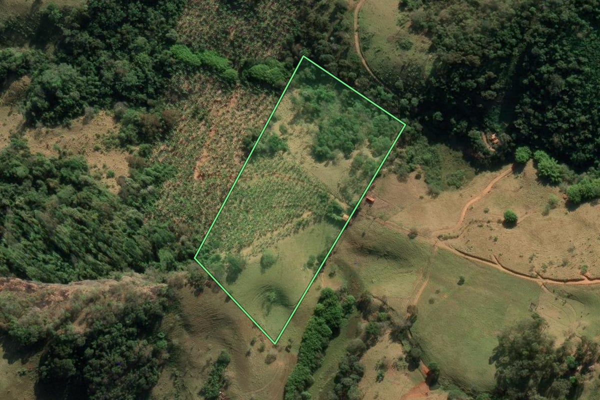 Imagem de satélite do imóvel rural em São Bento do Sapucaí (SP), com o contorno declarado no CAR desenhado por cima.