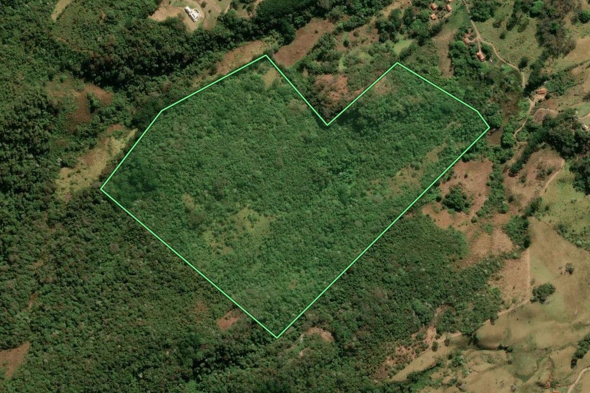 Imagem de satélite do imóvel rural em São Bento do Sapucaí (SP), com o contorno declarado no CAR desenhado por cima.