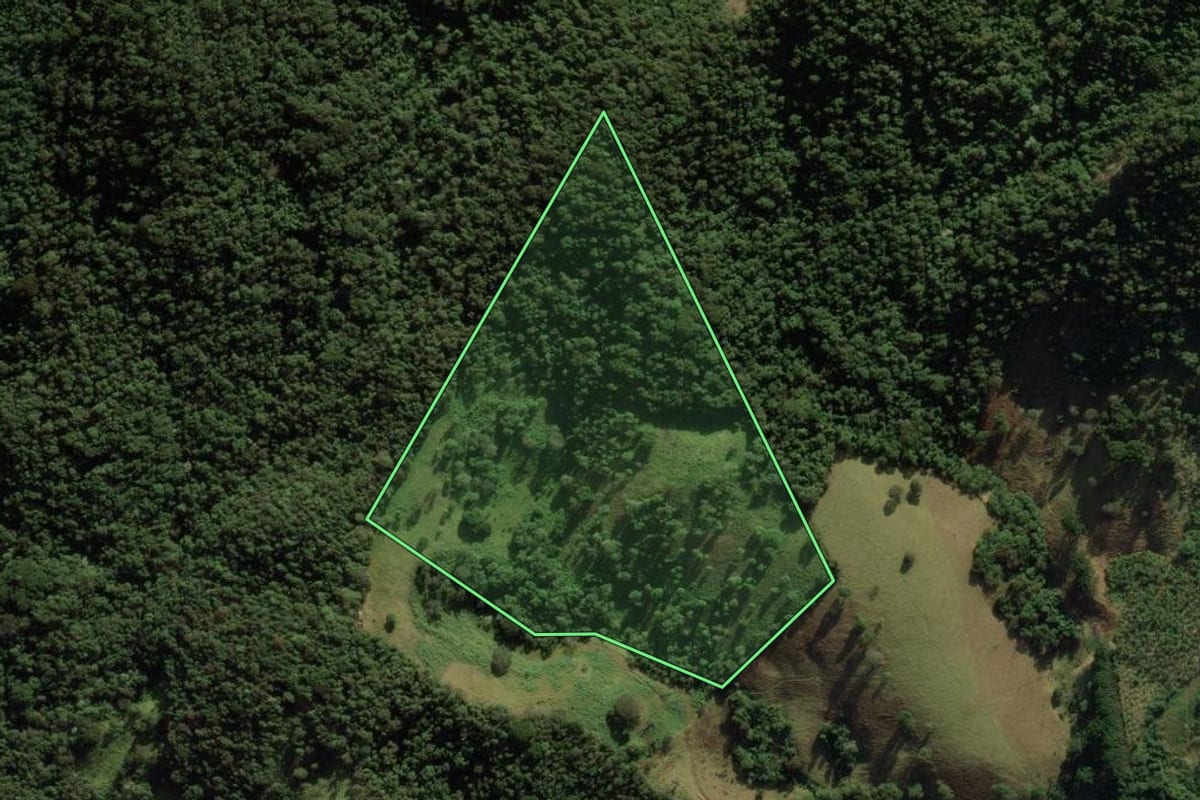 Imagem de satélite do imóvel rural em São Bento do Sapucaí (SP), com o contorno declarado no CAR desenhado por cima.