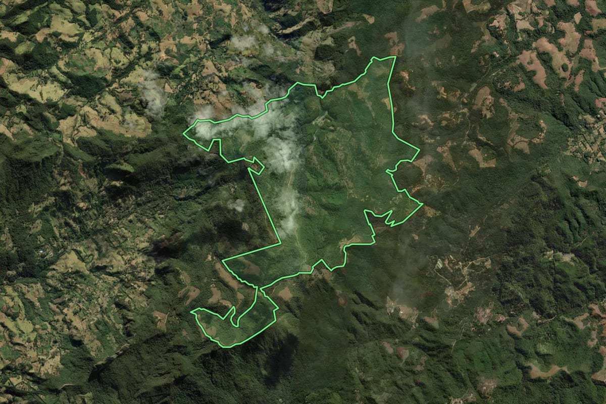 Imagem de satélite do imóvel rural em São Bento do Sapucaí (SP), com o contorno declarado no CAR desenhado por cima.