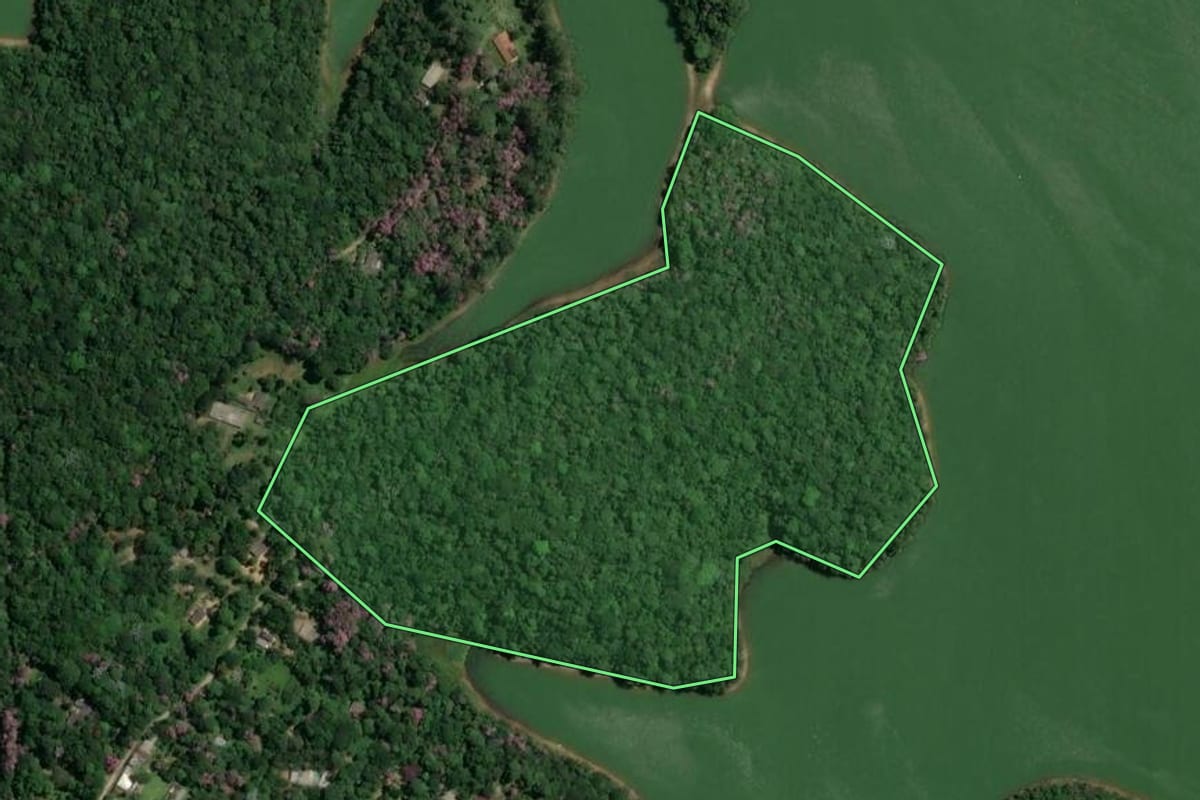 Imagem de satélite do imóvel rural em São Bernardo do Campo (SP), com o contorno declarado no CAR desenhado por cima.