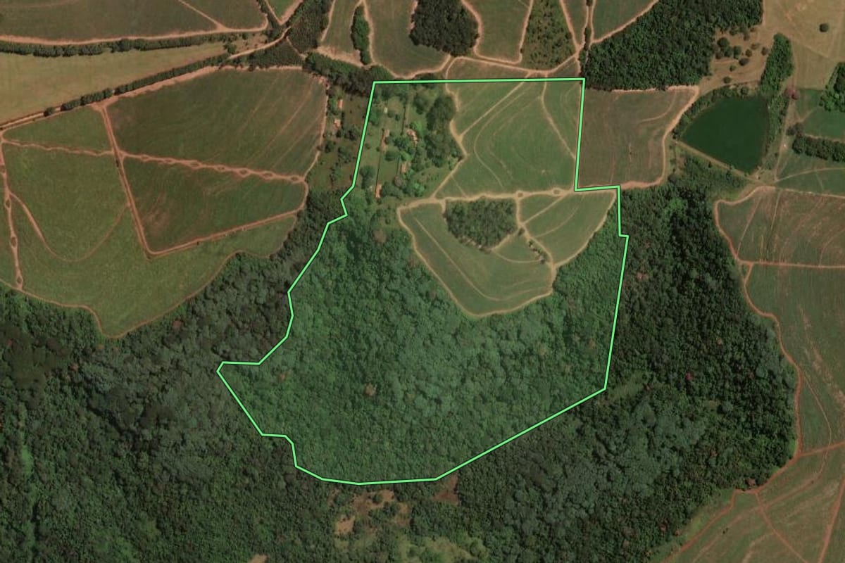 Imagem de satélite do imóvel rural em São Carlos (SP), com o contorno declarado no CAR desenhado por cima.