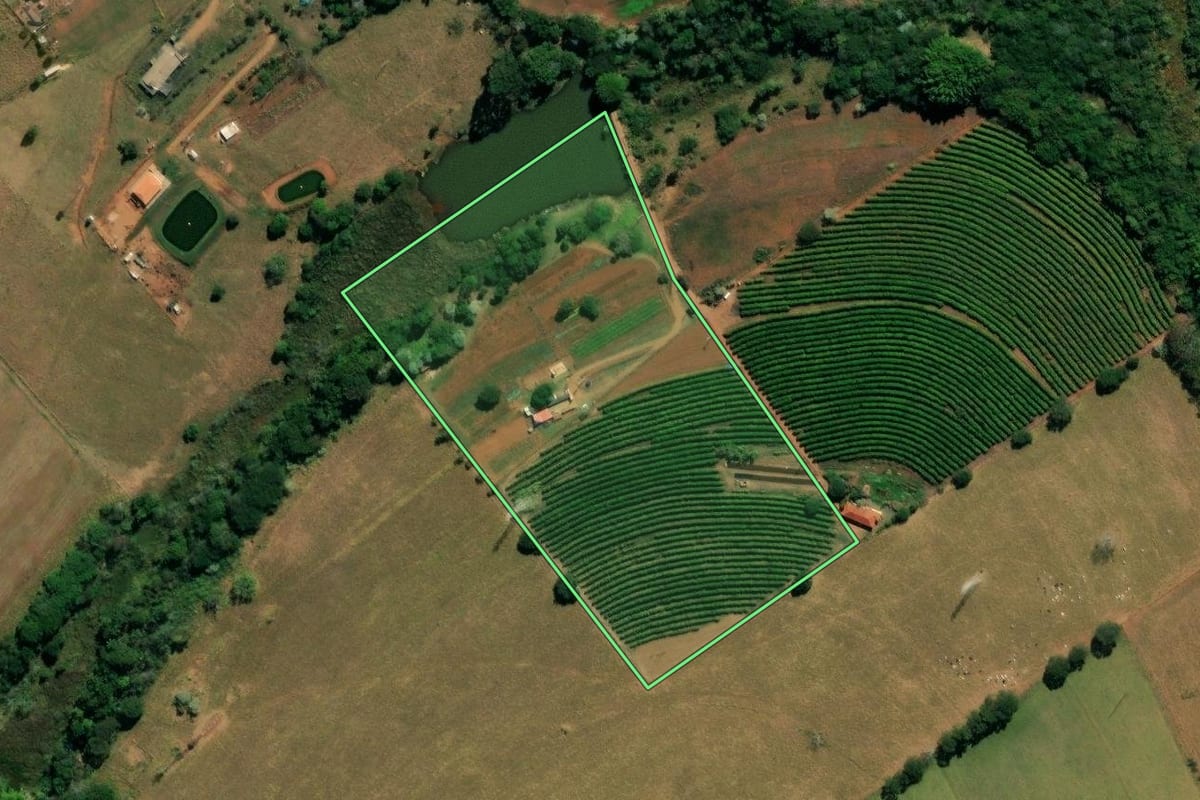 Imagem de satélite do imóvel rural em São Carlos (SP), com o contorno declarado no CAR desenhado por cima.