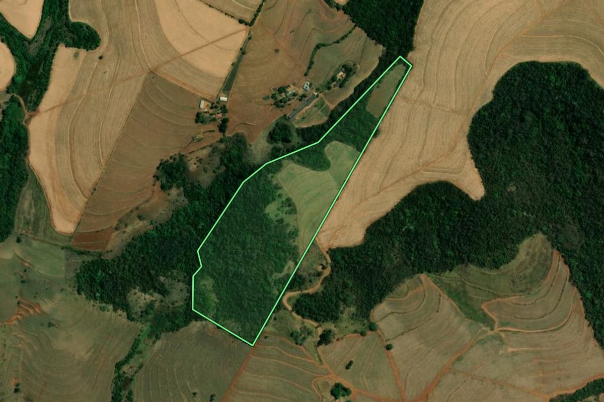 Imagem de satélite do imóvel rural em São Carlos (SP), com o contorno declarado no CAR desenhado por cima.