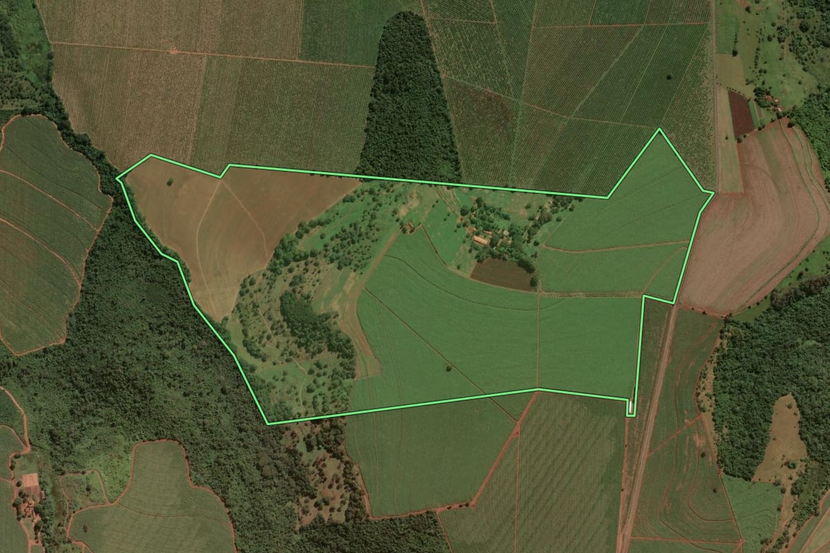 Imagem de satélite do imóvel rural em São Carlos (SP), com o contorno declarado no CAR desenhado por cima.