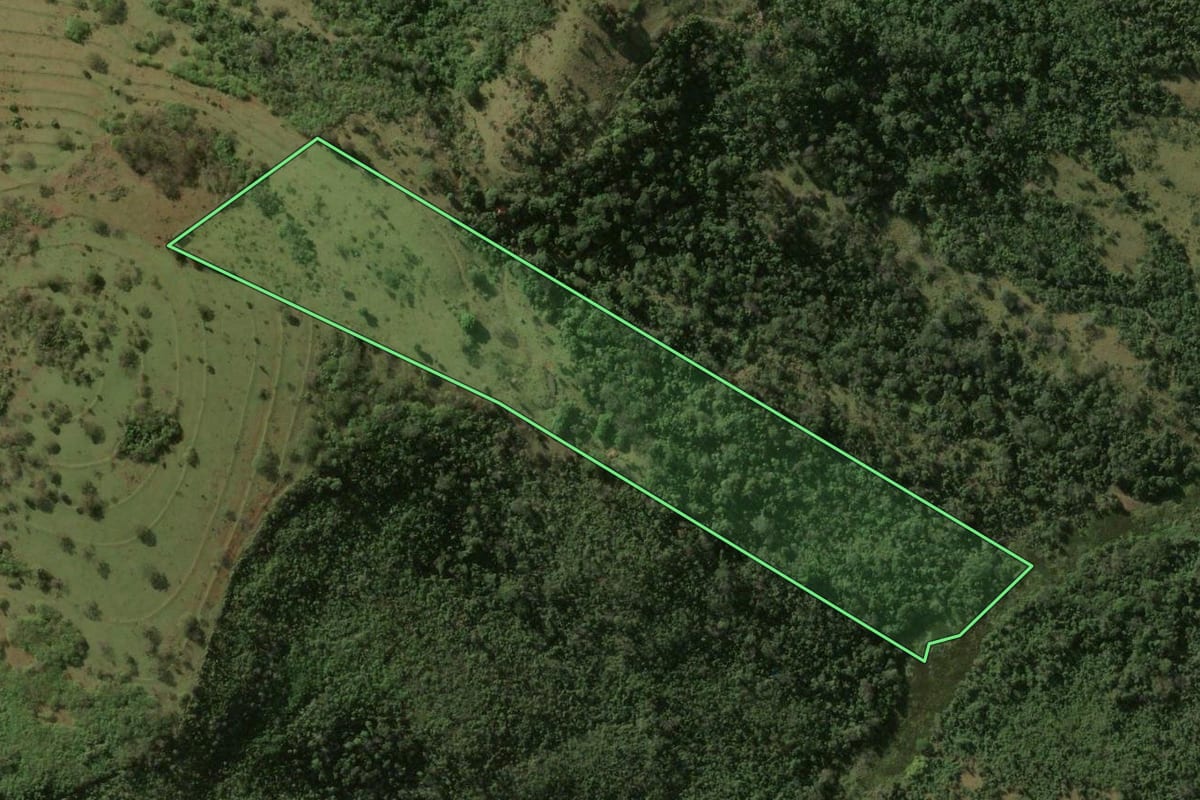 Imagem de satélite do imóvel rural em São Carlos (SP), com o contorno declarado no CAR desenhado por cima.
