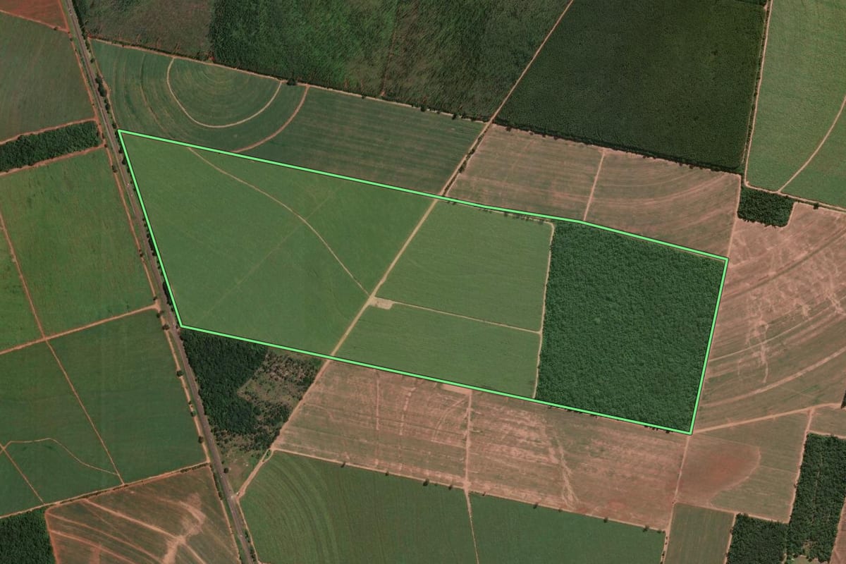 Imagem de satélite do imóvel rural em São Carlos (SP), com o contorno declarado no CAR desenhado por cima.
