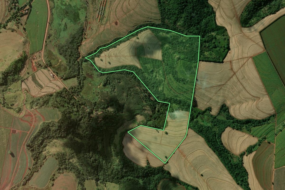 Imagem de satélite do imóvel rural em São Carlos (SP), com o contorno declarado no CAR desenhado por cima.