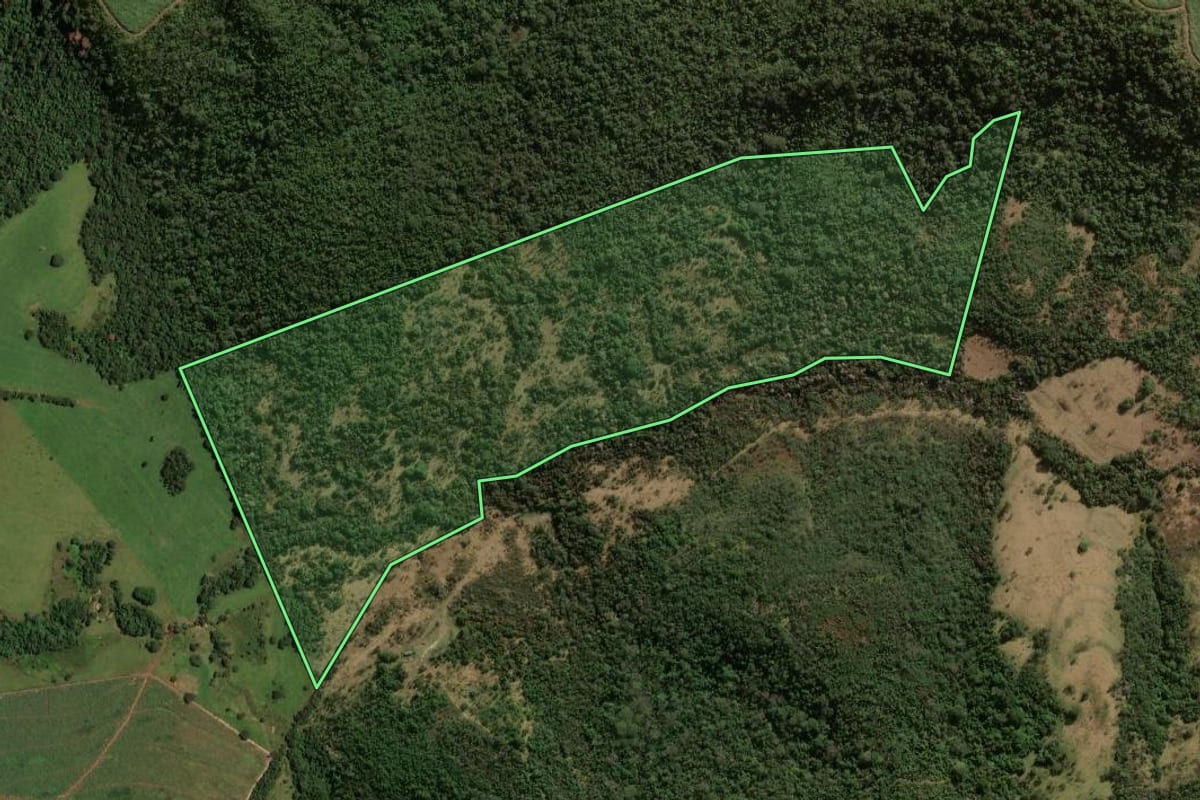 Imagem de satélite do imóvel rural em São Carlos (SP), com o contorno declarado no CAR desenhado por cima.