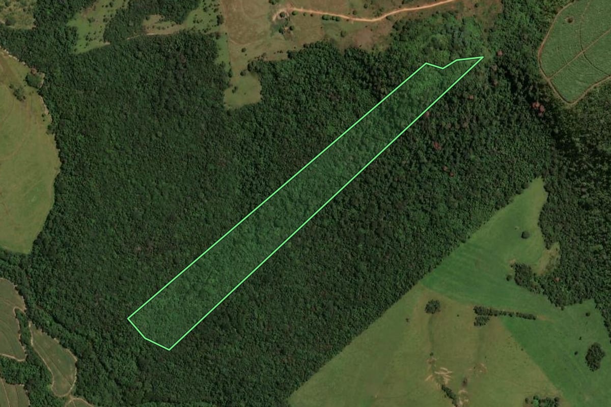 Imagem de satélite do imóvel rural em São Carlos (SP), com o contorno declarado no CAR desenhado por cima.