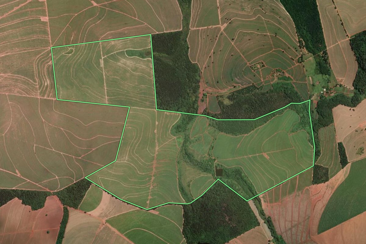 Imagem de satélite do imóvel rural em São Carlos (SP), com o contorno declarado no CAR desenhado por cima.