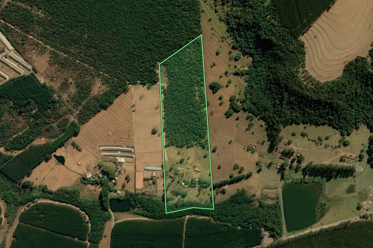 Imagem de satélite do imóvel rural em São Carlos (SP), com o contorno declarado no CAR desenhado por cima.