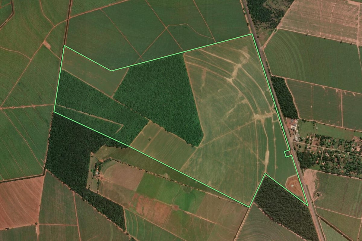 Imagem de satélite do imóvel rural em São Carlos (SP), com o contorno declarado no CAR desenhado por cima.