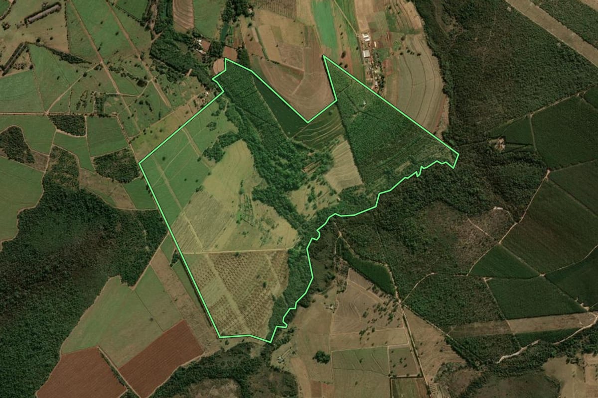 Imagem de satélite do imóvel rural em São Carlos (SP), com o contorno declarado no CAR desenhado por cima.