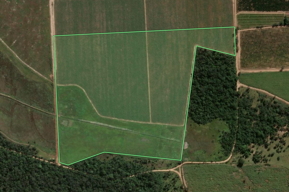 Imagem de satélite do imóvel rural em São Carlos (SP), com o contorno declarado no CAR desenhado por cima.