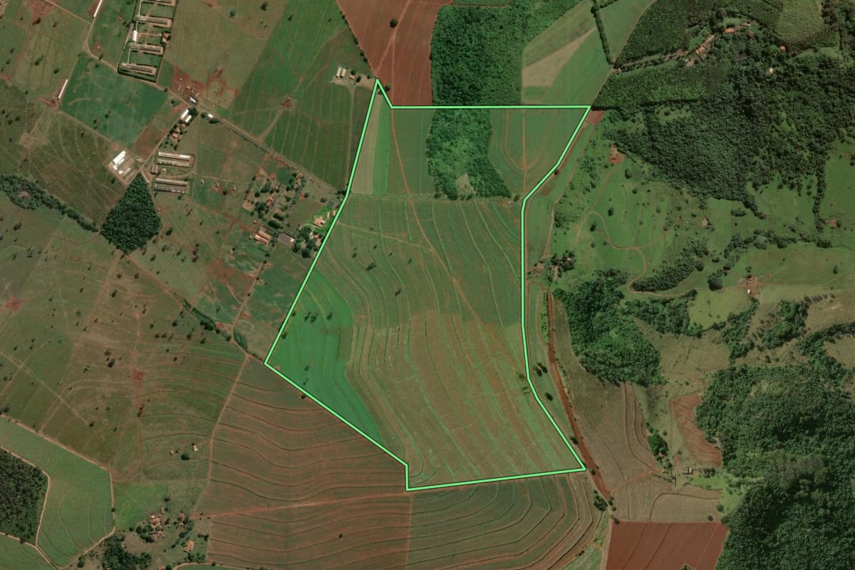 Imagem de satélite do imóvel rural em São Carlos (SP), com o contorno declarado no CAR desenhado por cima.