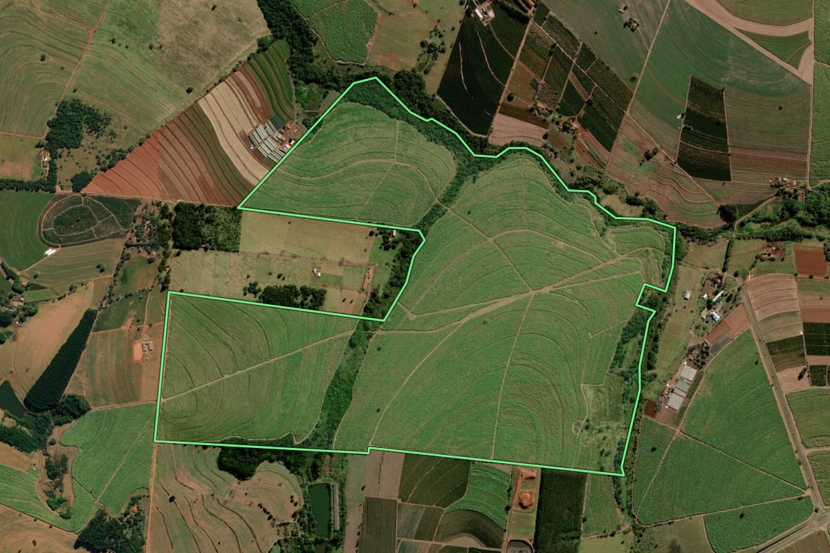 Imagem de satélite do imóvel rural em São Carlos (SP), com o contorno declarado no CAR desenhado por cima.