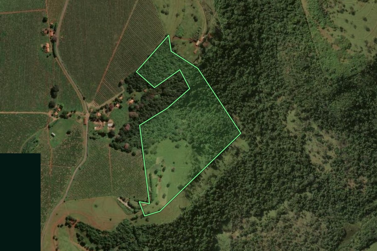 Imagem de satélite do imóvel rural em São Carlos (SP), com o contorno declarado no CAR desenhado por cima.