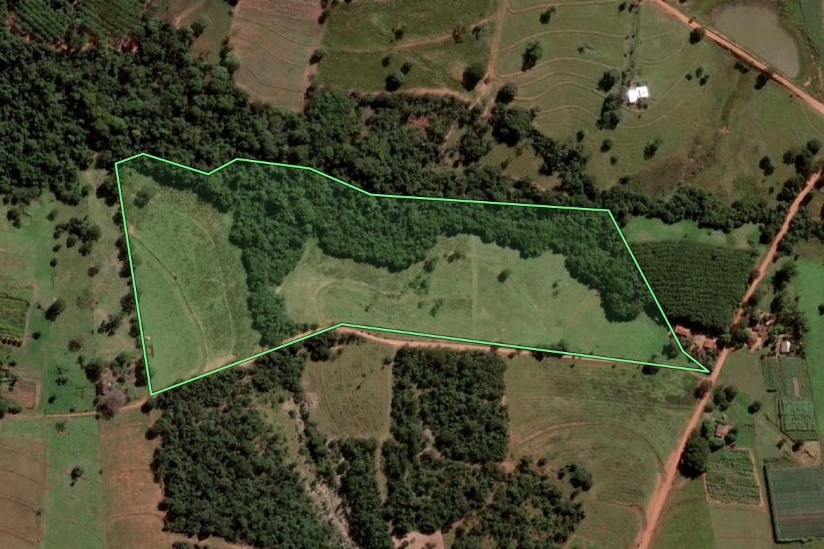 Imagem de satélite do imóvel rural em São Francisco (SP), com o contorno declarado no CAR desenhado por cima.