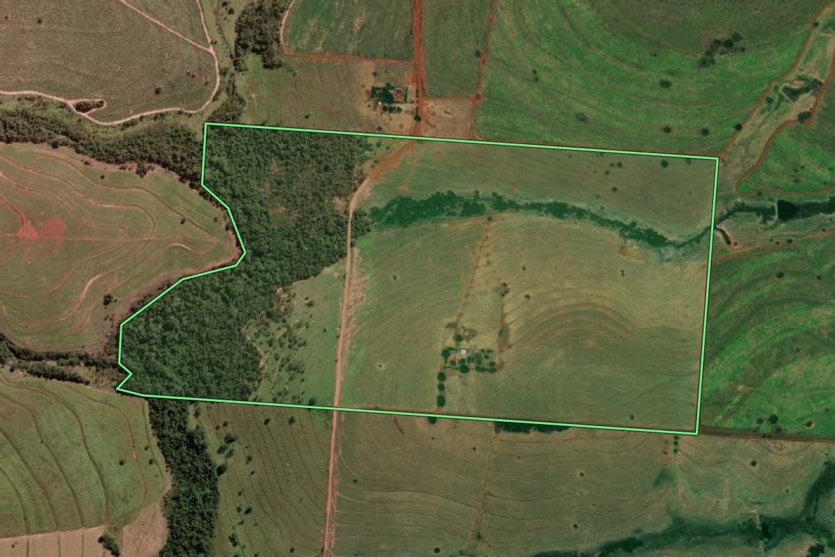 Imagem de satélite do imóvel rural em São Francisco (SP), com o contorno declarado no CAR desenhado por cima.