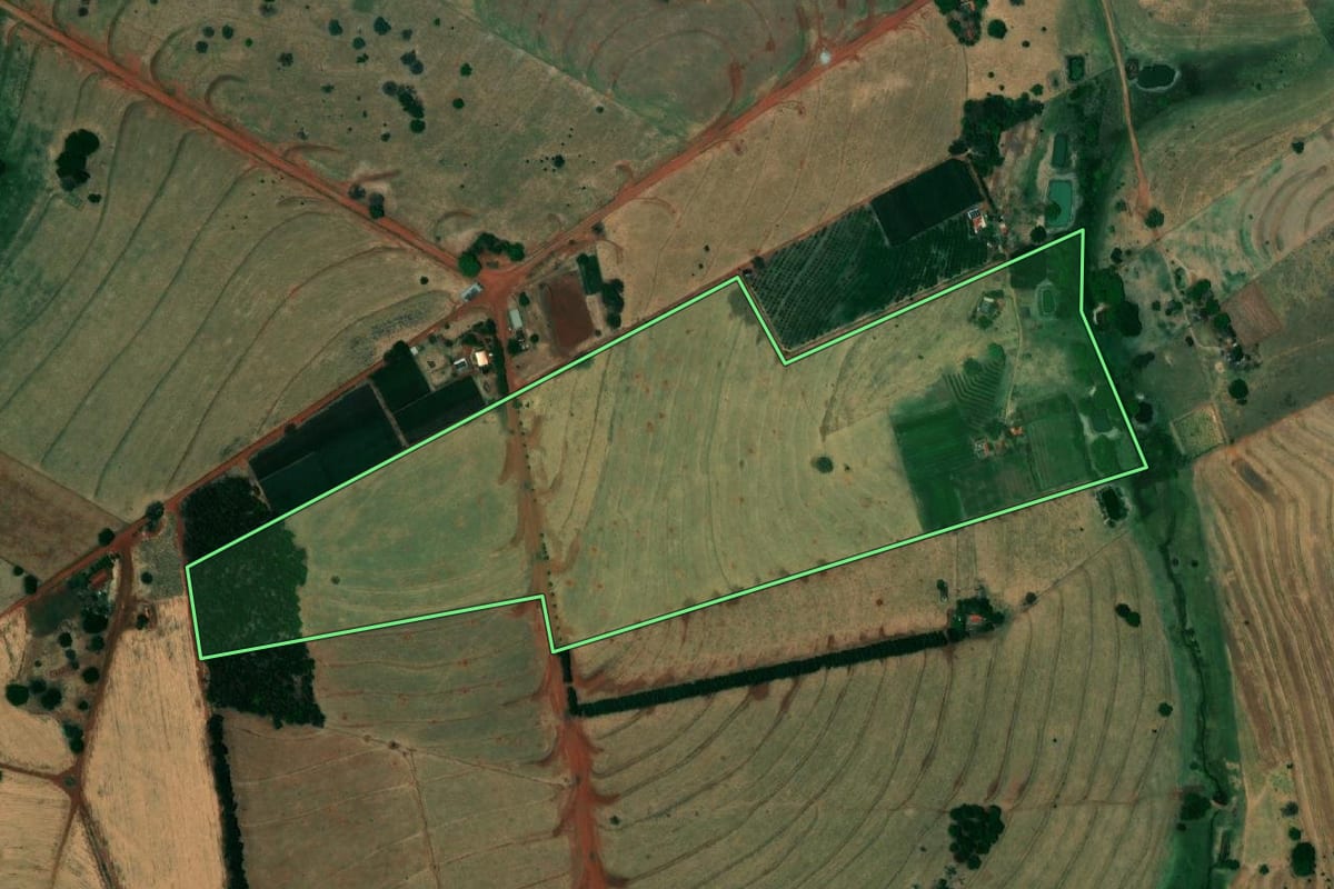 Imagem de satélite do imóvel rural em São Francisco (SP), com o contorno declarado no CAR desenhado por cima.